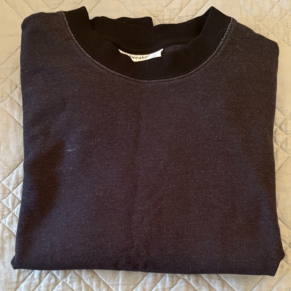Icebreaker Merino Wool Pullover Sweater Sz M